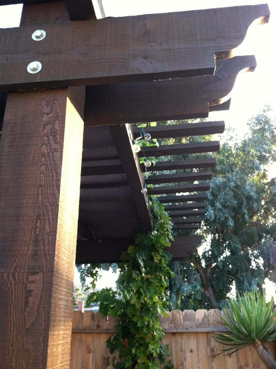 Backyard pergola