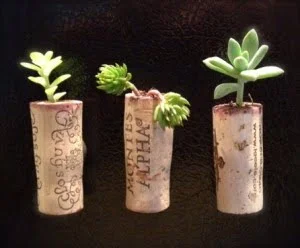 magnetic wine cork planters