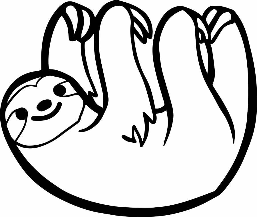 sloth template