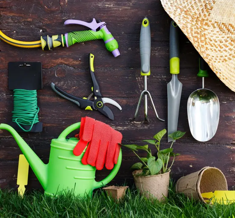 5 Essential Tools for Gardening at Home