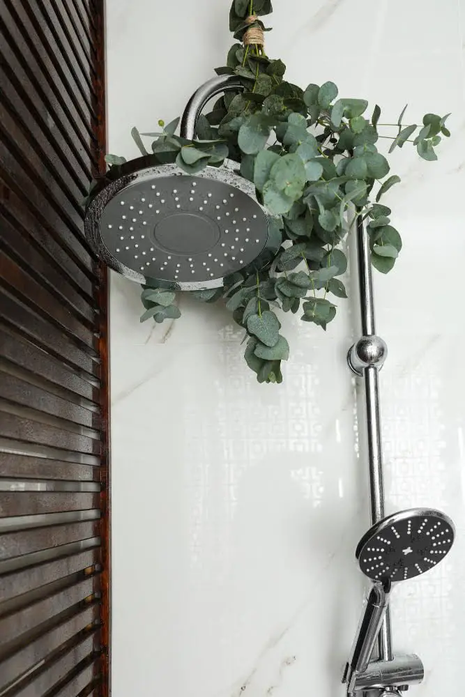 Shower Plants