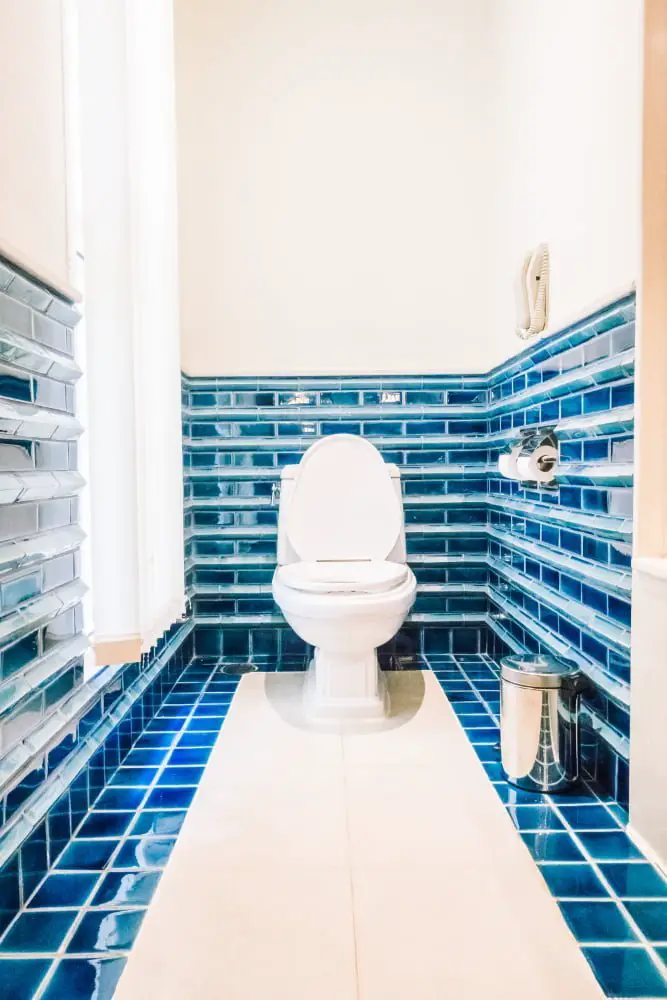 Tile and Shiplap White and Blue Bathroom Renovation