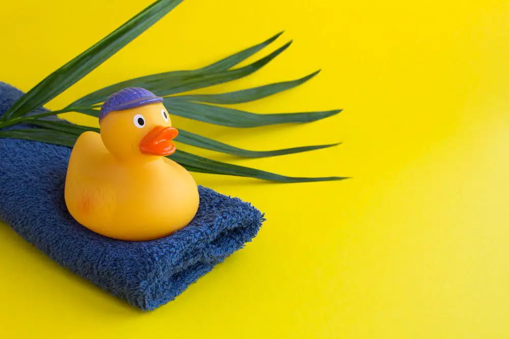 Children's Rubber Duck Theme