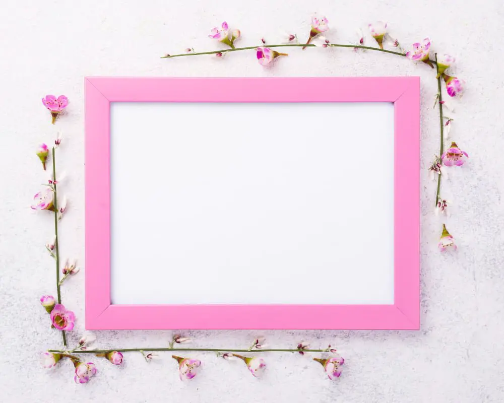 Pink Frame Mirror