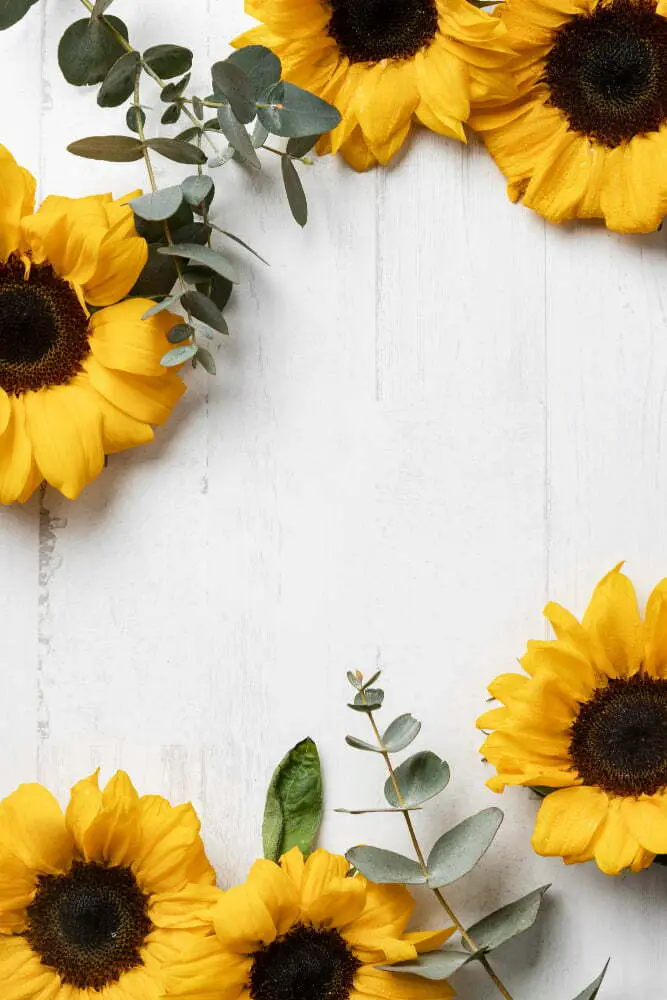 Sunflower-themed