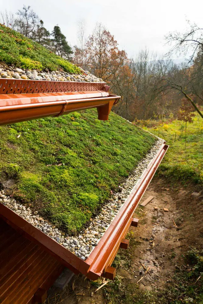 green roof