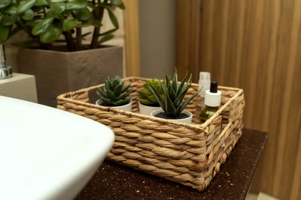 Bathroom Tray with Succulents