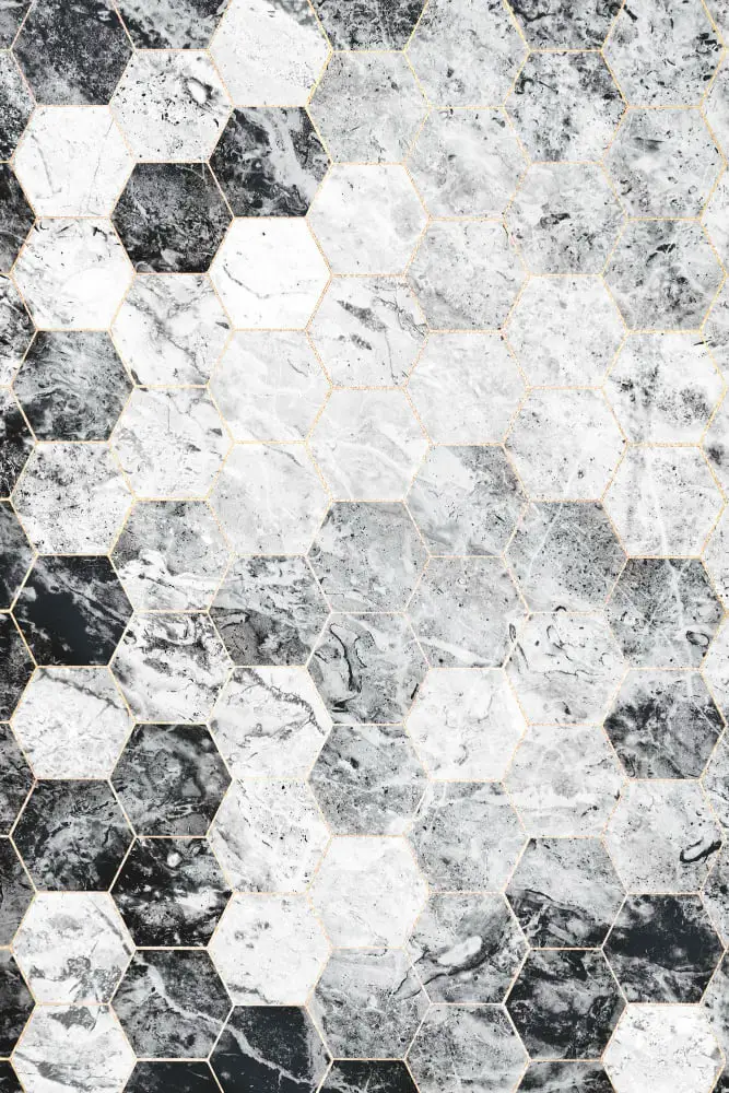 Black and White Hexagonal Tiles