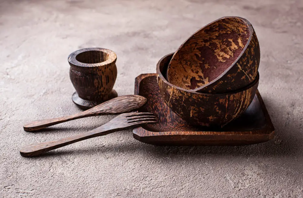 Coconut Shell Bowls