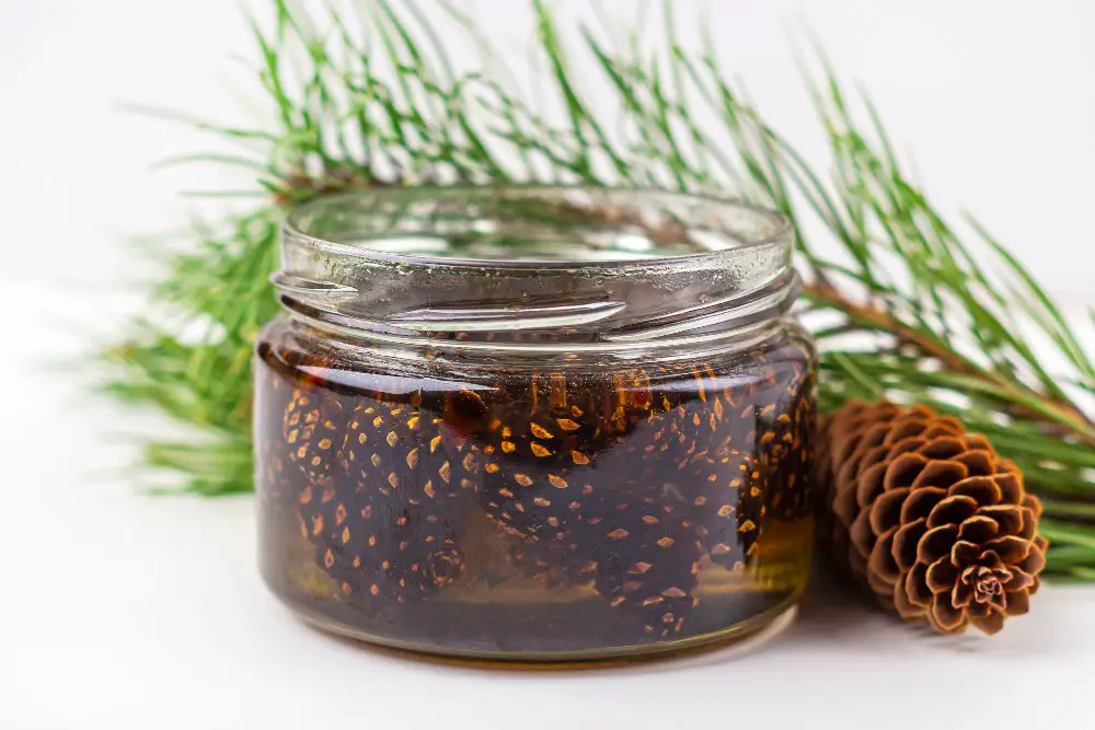 Glass Jar of Pinecones