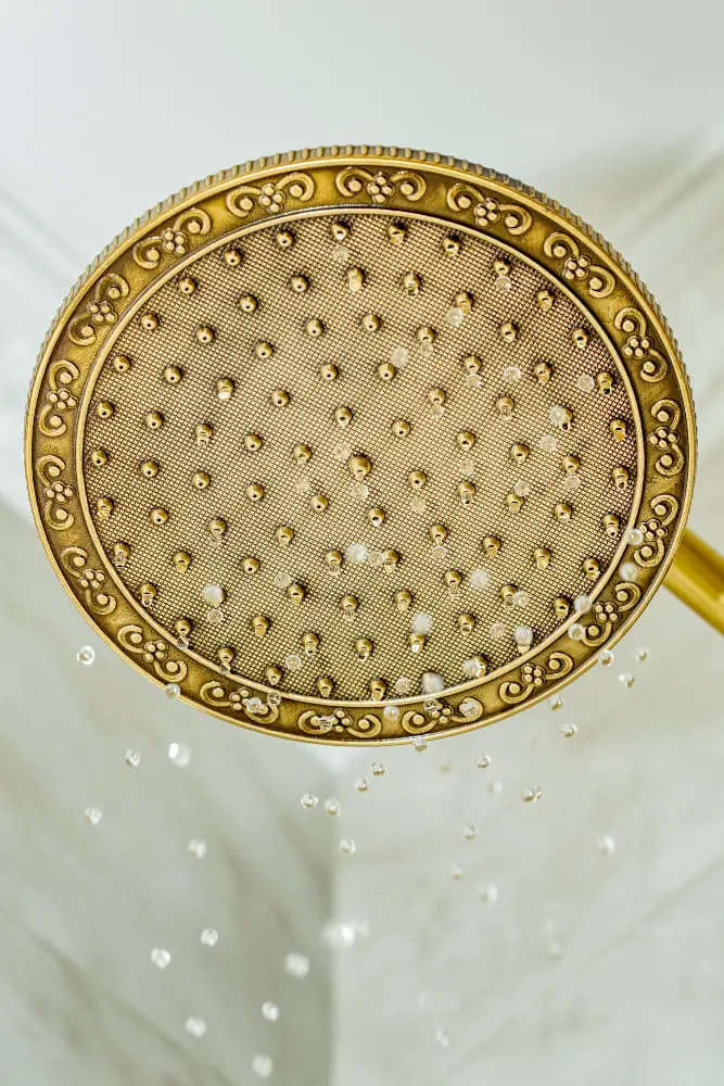 Gold Showerhead