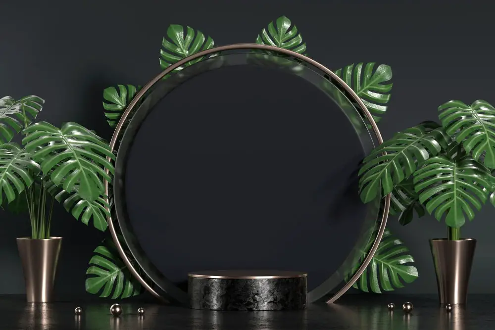 Monstera Leaf Mirror Frame