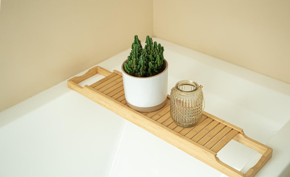 Bathtub Tray Table