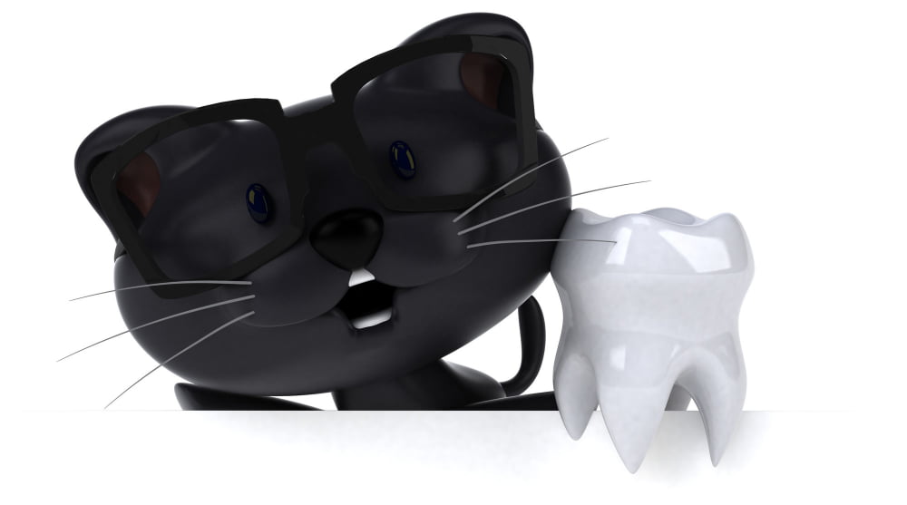 Black Cat Toothbrush Holder