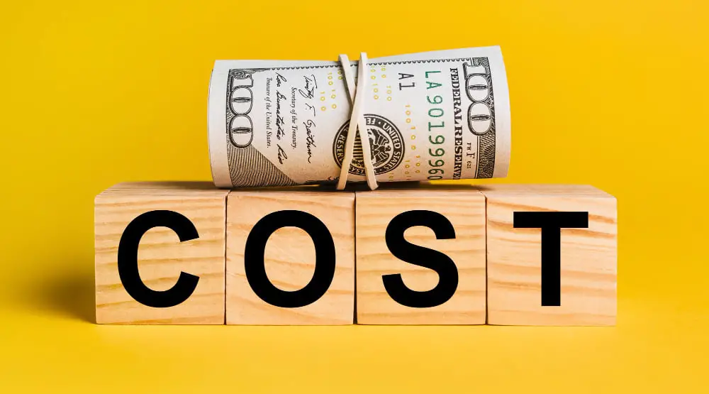 Cost Considerations