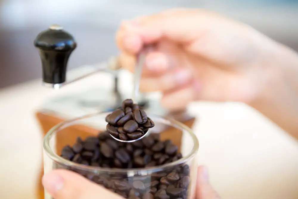Understanding Coffee Beans