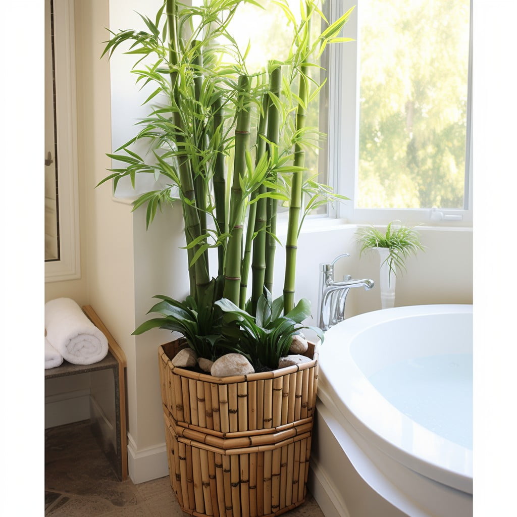 Bamboo Plants in Corners Bathroom Planter