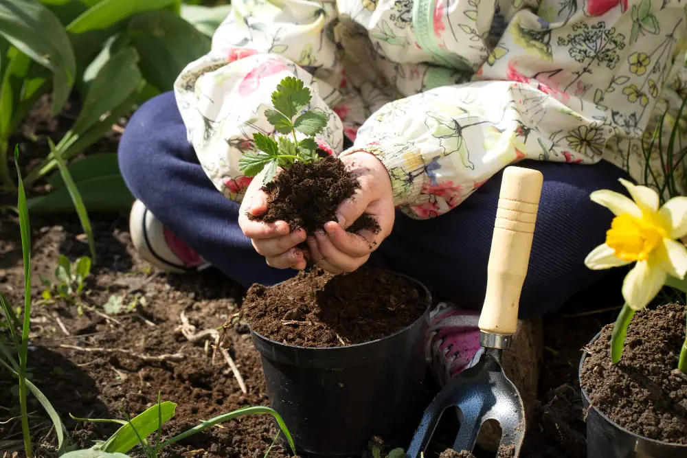 Connection with Nature: Nurturing the Earth, Nurturing Ourselves