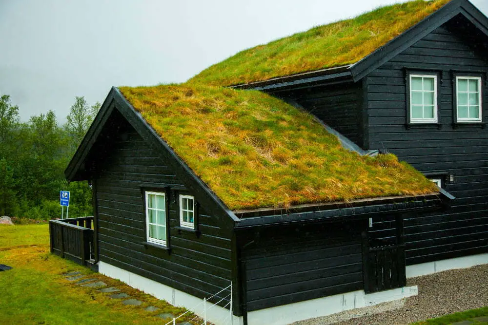 Embracing Sustainable Roofing Options for Enhanced Comfort and Eco-friendliness