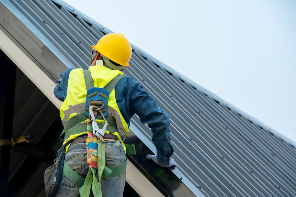 Get a Professional to Check Your Roof