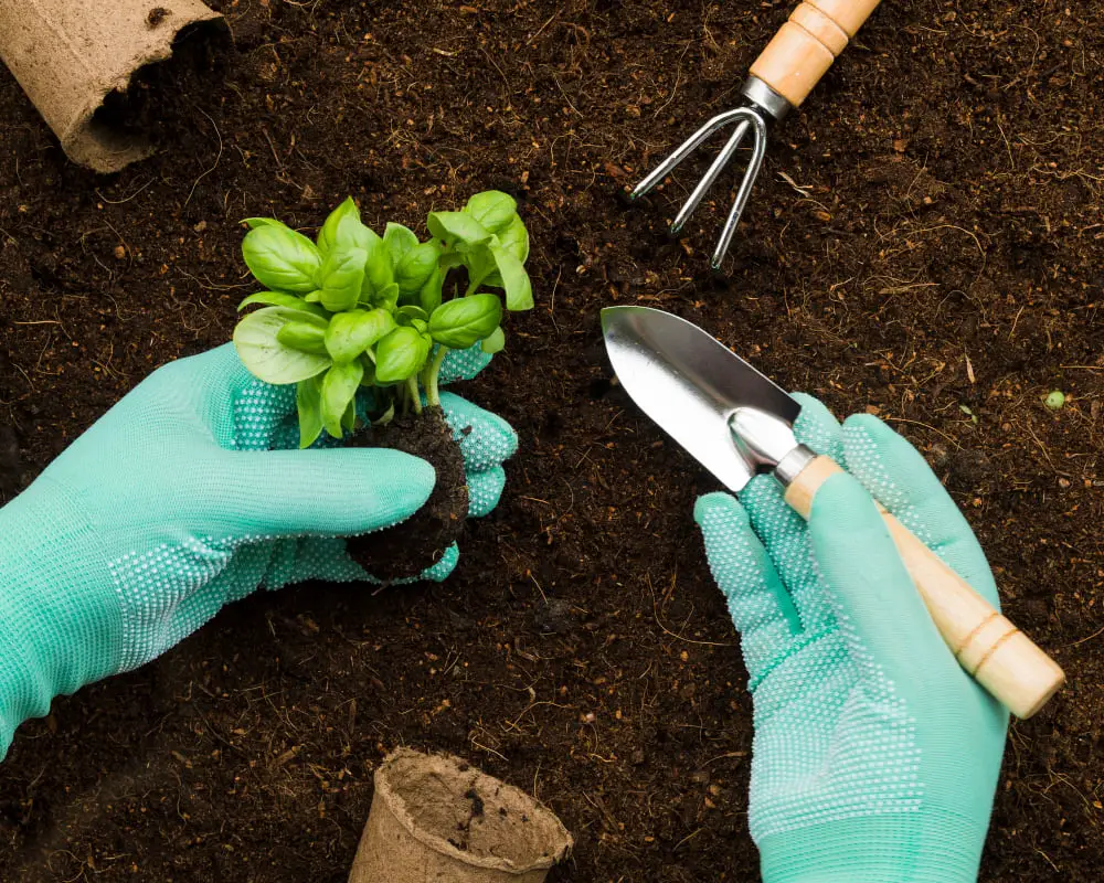 Getting Started on Your Garden Journey