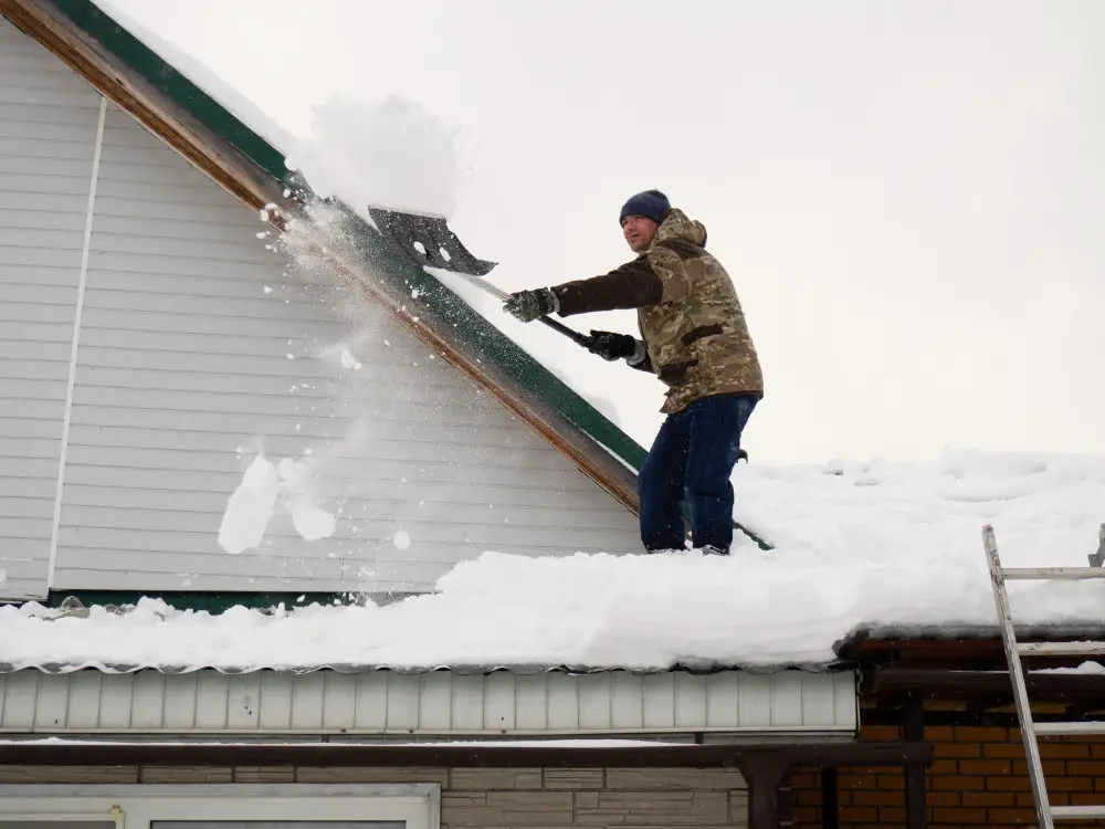 Regular Roof Cleaning