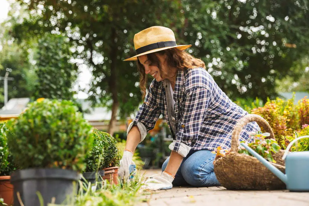 Seeing the Benefits of Gardening