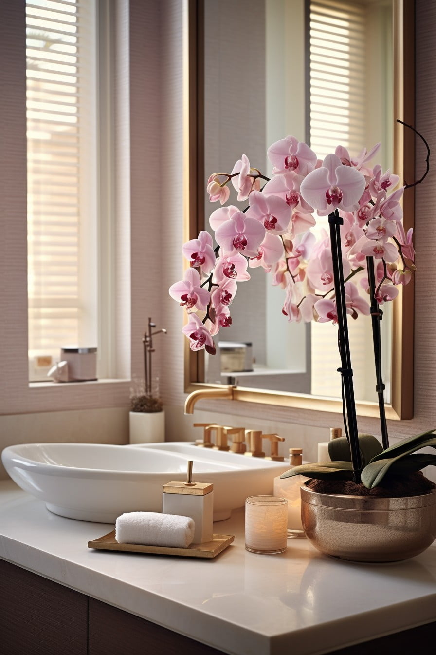 orchid vanity decorations