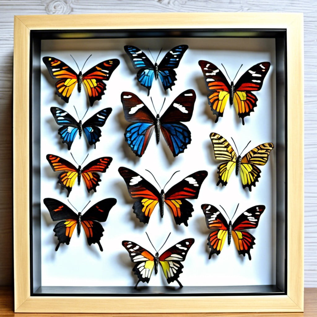 3d butterfly arrangement in box frame