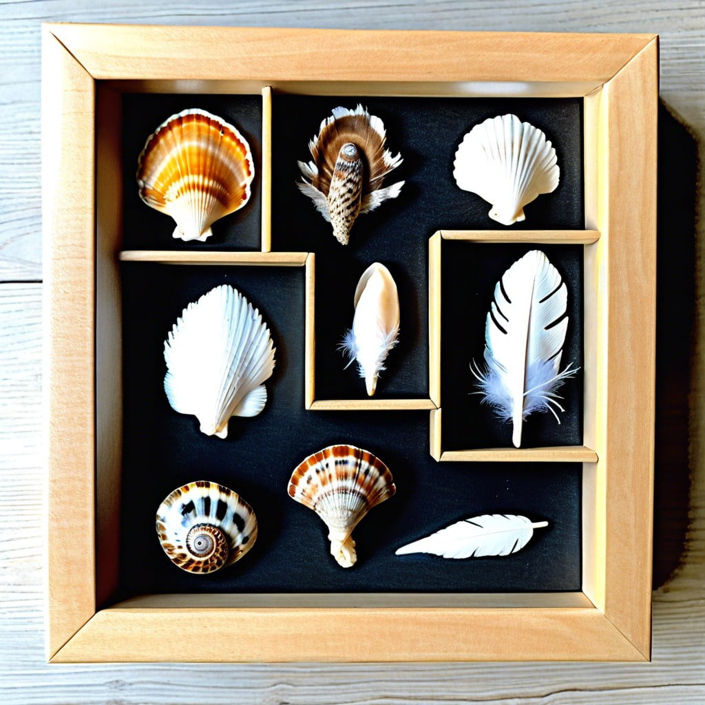 feather or shell collection from nature walks