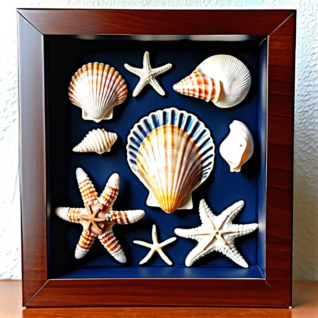 nautical themed seashell shadow box