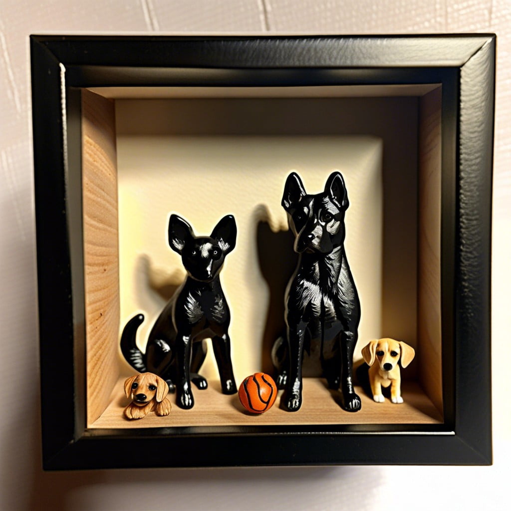 pet themed shadow box