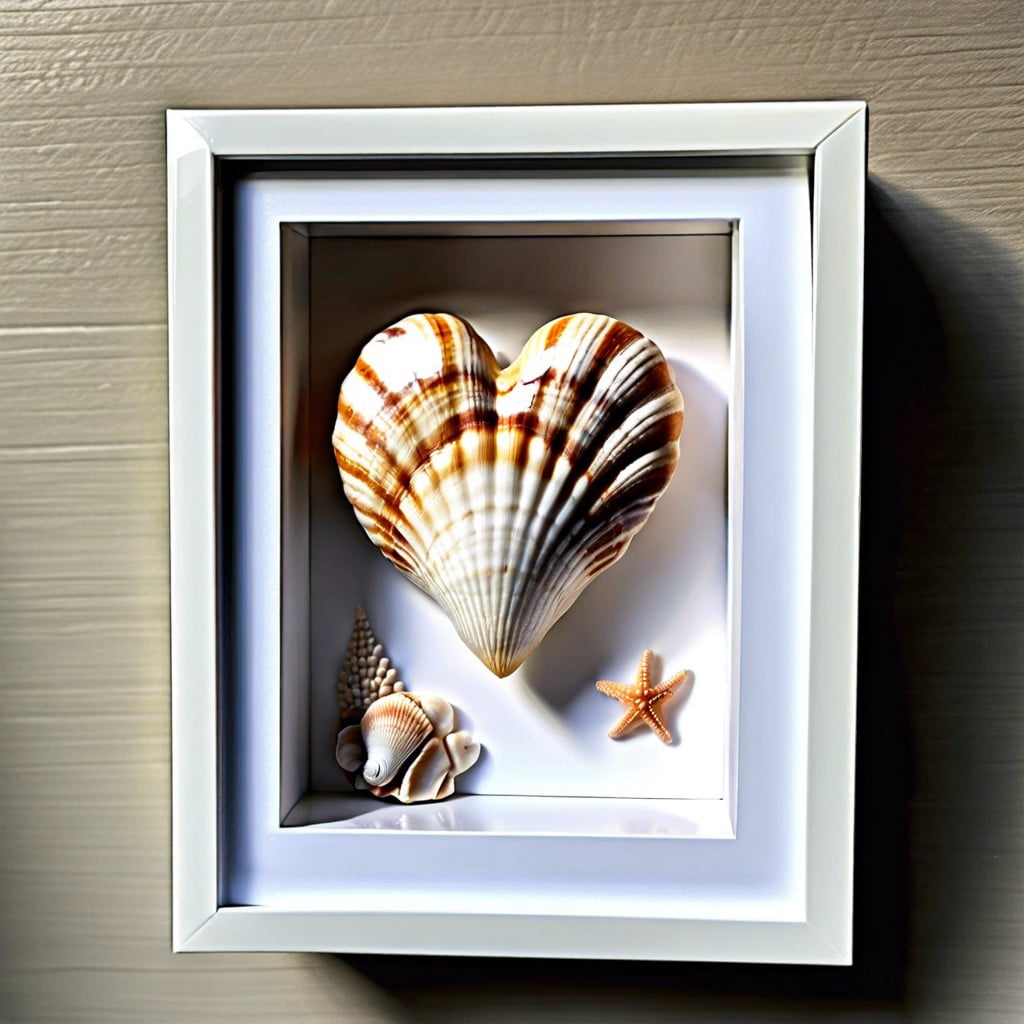 seashells arranged to form a heart or star shape