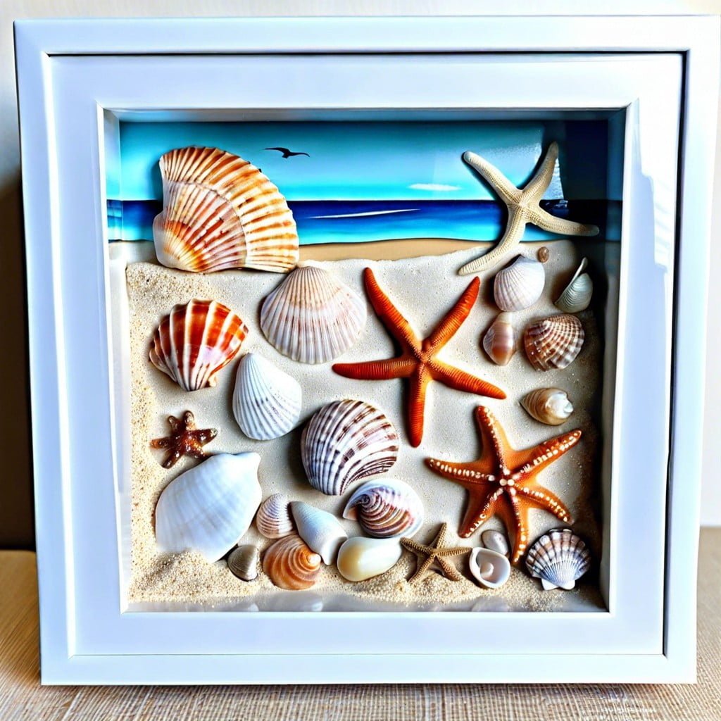 shadow box with beach sand and seashells