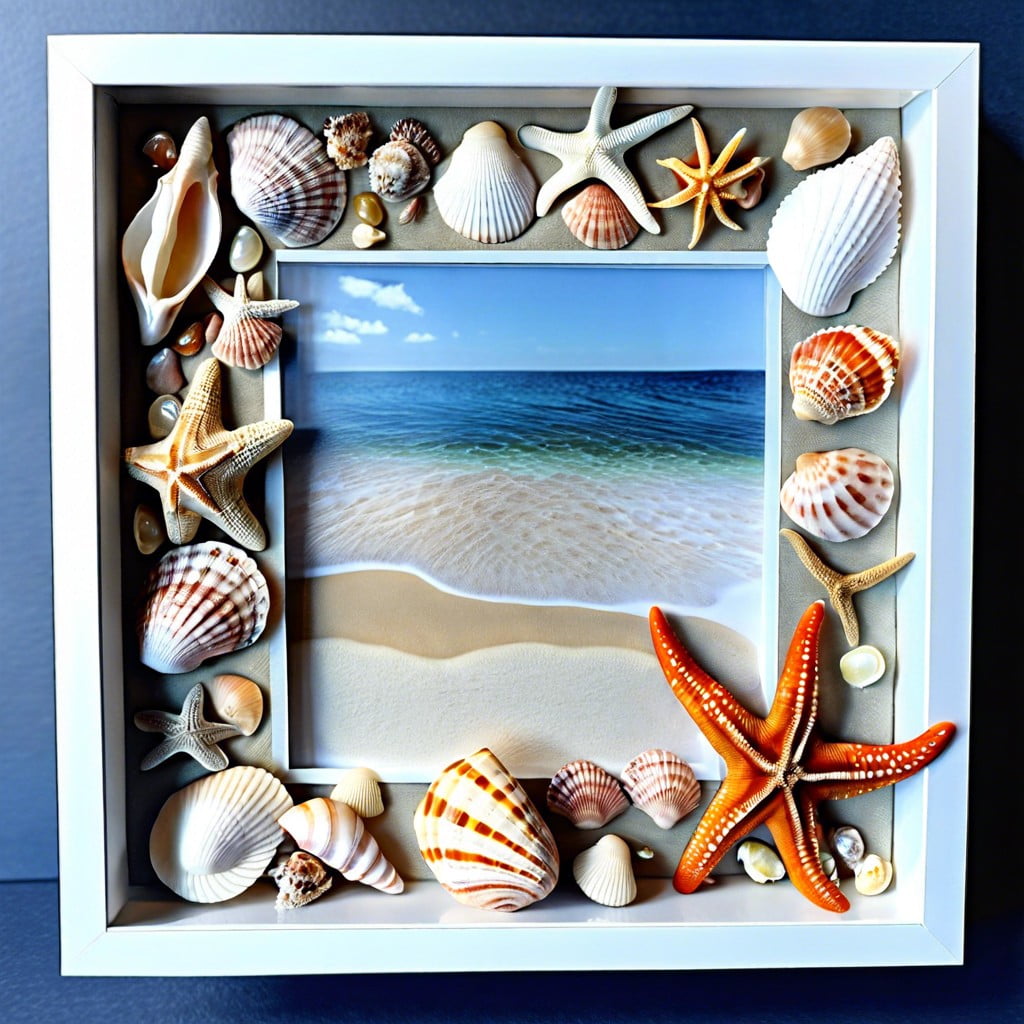 shadow box with seashells and dried starfish