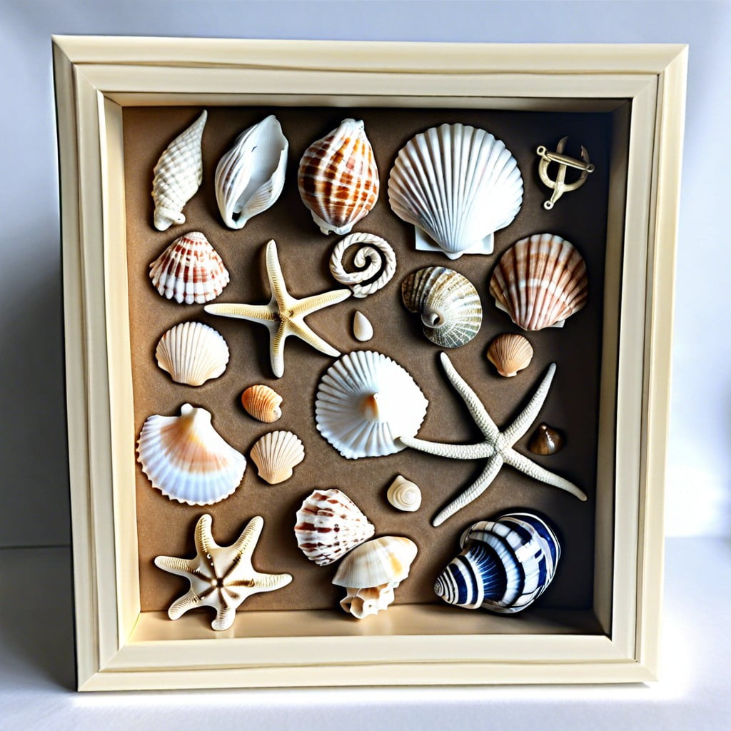 shadow box with seashells and nautical knots