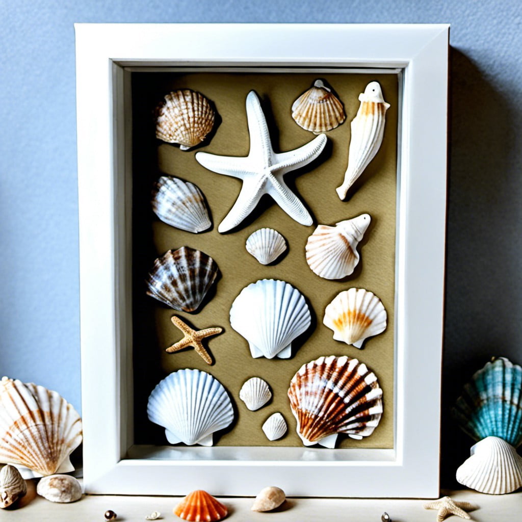 shell and beach finds shadow box