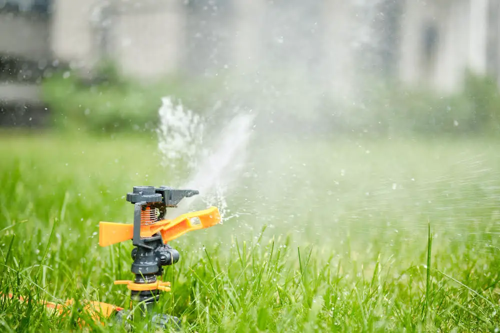 Watering Wisdom: Quenching Your Lawn's Thirst Effectively
