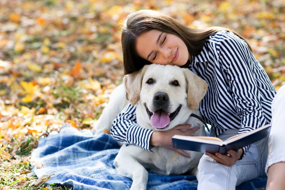 Labrador