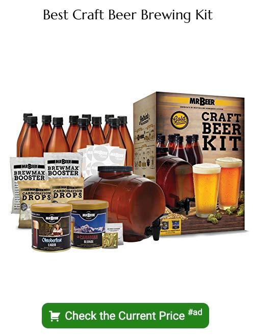 craft beer brewing kit